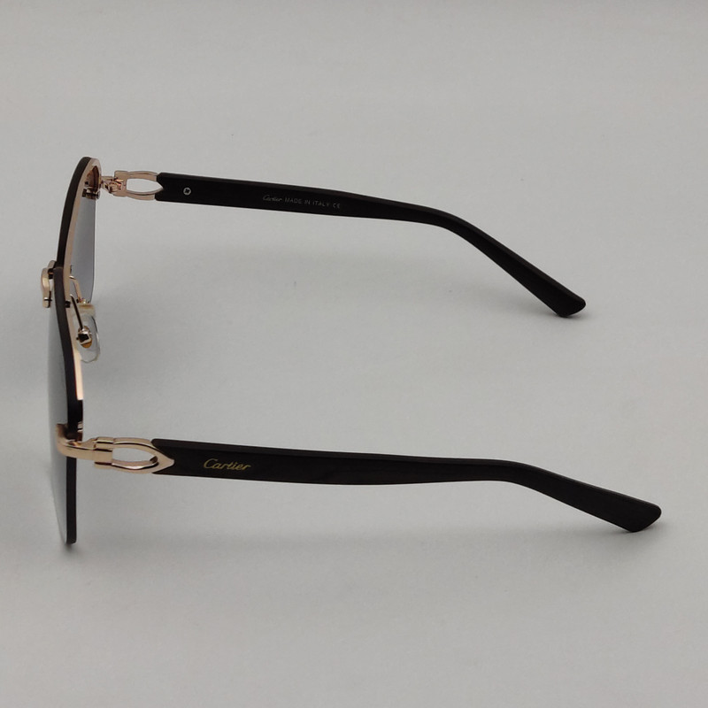 عینک آفتابی مدل CT0276