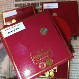 پنکک گیاهی اورجینال سامرکیک روست اصل summer cake پنکیک سنگی