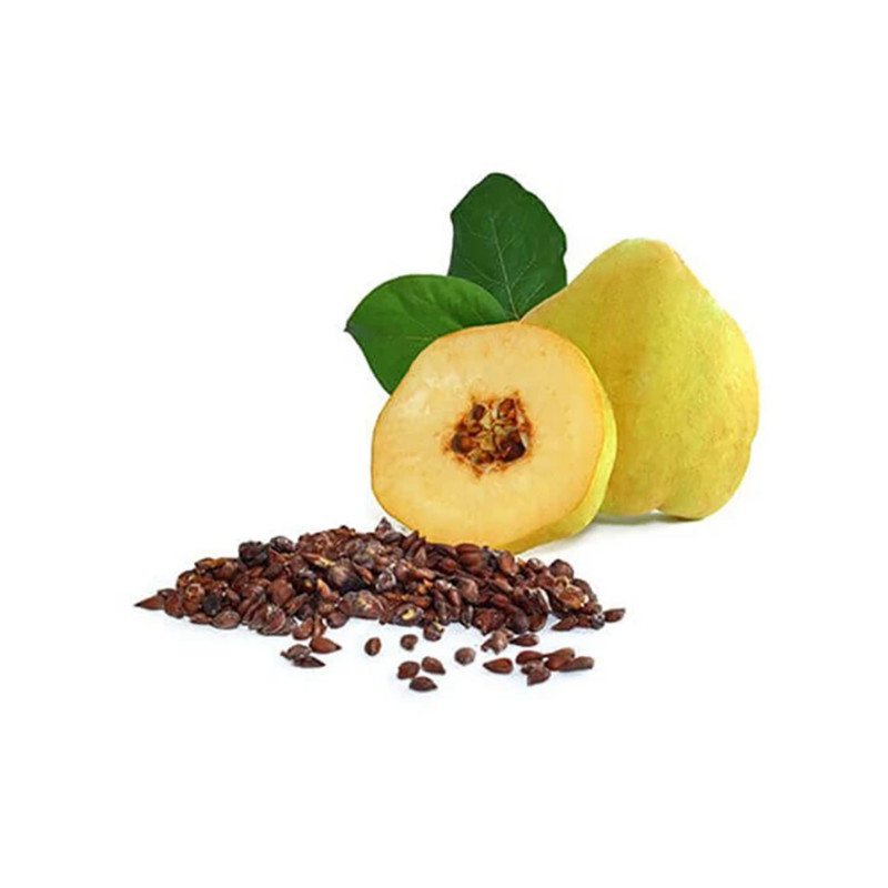 دانه به محلی گالیور -50 گرم
