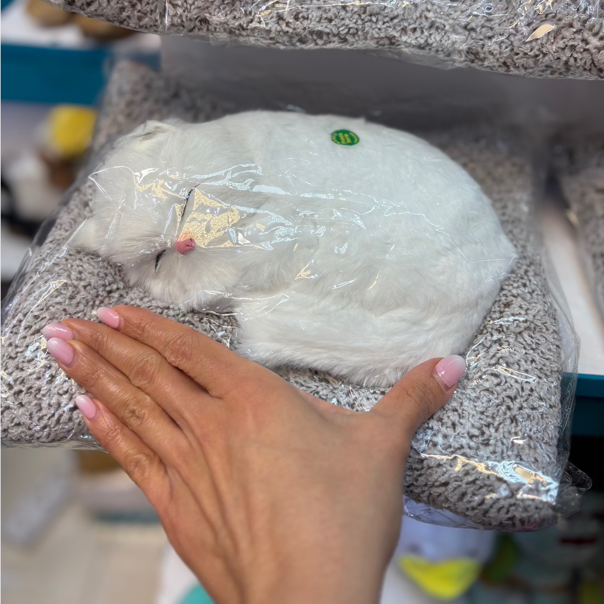 گربه بالشتی صدادار سایز 2