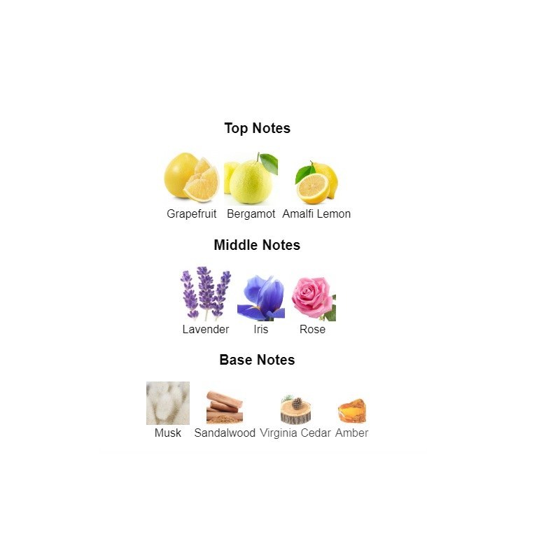 عطر مردانه فراگرانس ورد کازاموراندو مافستو Fragrance World Casamorando Mafesto