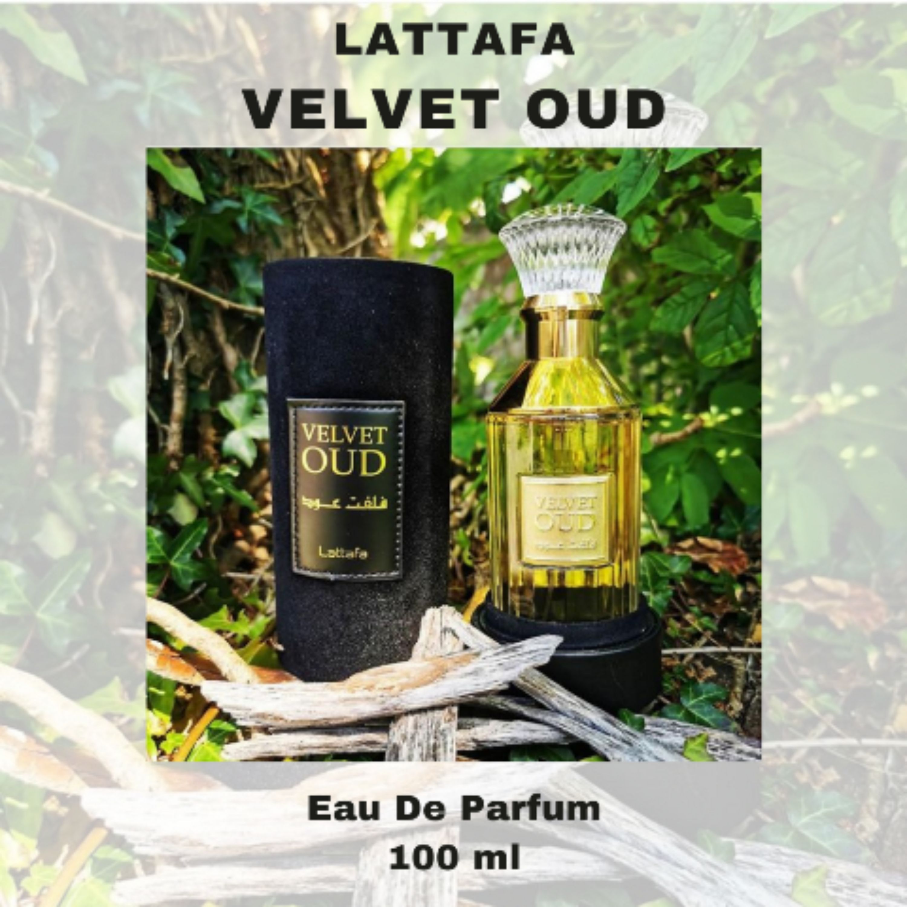 عطر لطافه ولوت عود Lattafa Velvet Oud