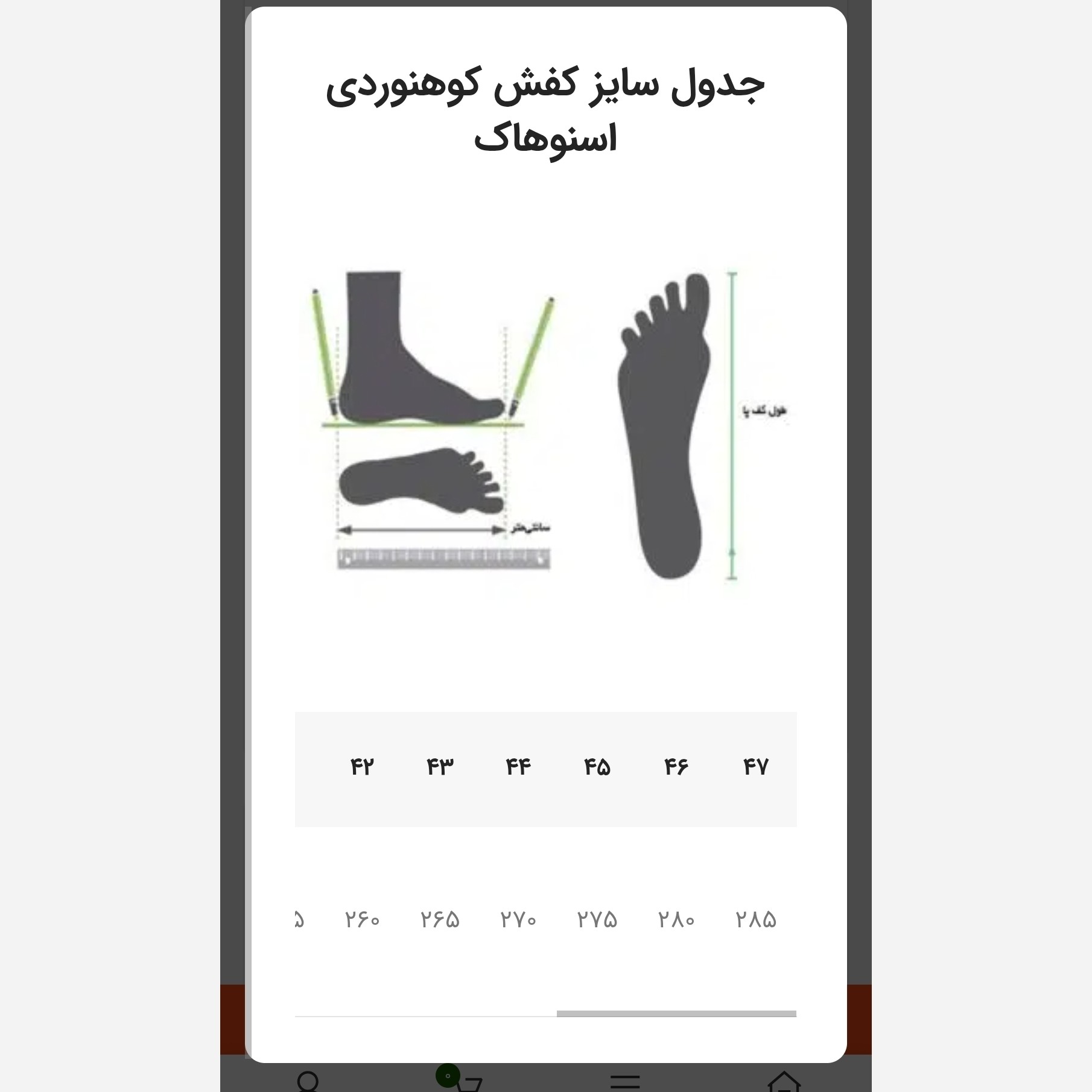کفش ساق بلند زنانه ضد آب اسنوهاک مدل MOYE کد SN-S1136W