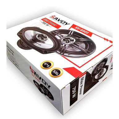 باند اسپیکر ساووی مدل SV-6901 بیضی بسته دو عددی