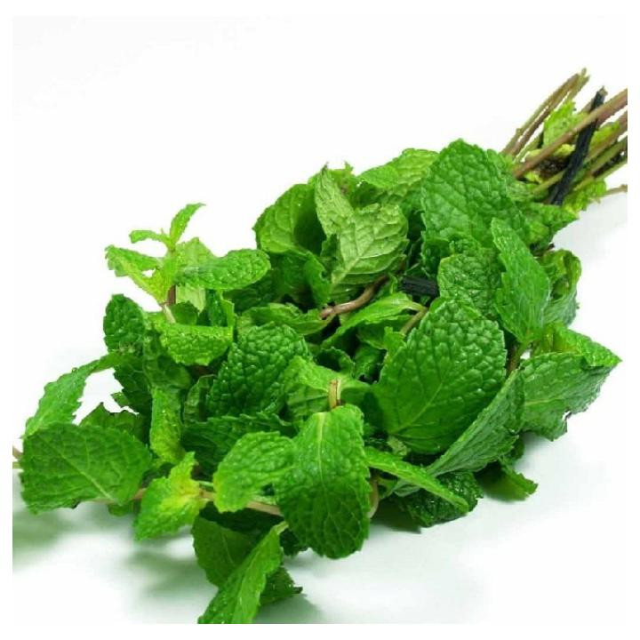 نعناع خشک نیشابور - 500 گرم