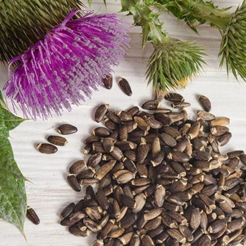 دمنوش گیاهی خارمریم محلی خاتون - 200 گرم