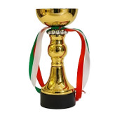 کاپ قهرمانی (جام قهرمانی) ورزشی اعلا 19 سانتی