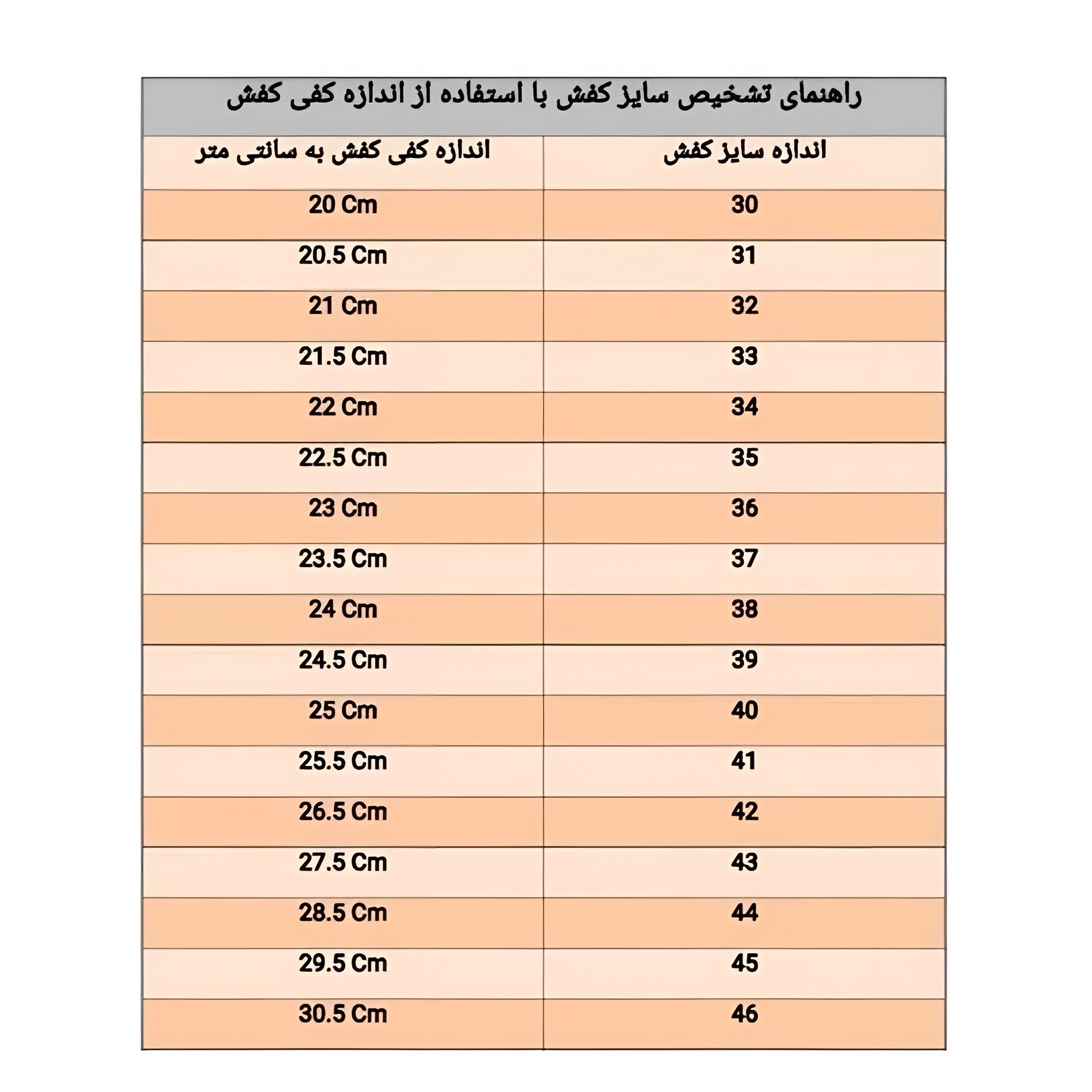کفش فوتسال سالنی اعلا مارک MZ سایز 40 تا 45 (ارسال رایگان و خرید قسطی)