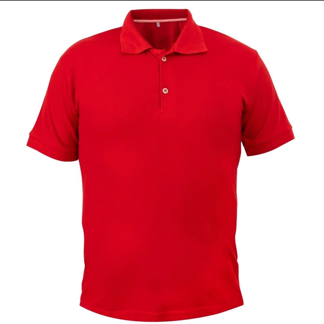 تیشرت مردانه یقه دار اعلا مدل پوشکا سایز L تا 3XL
